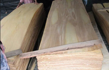 MDF, 마분지 및 구획 널을 위한 자연적인 회전하는 커트 박달나무 베니어